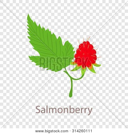 Salmonberry Icon. Isometric Illustration Of Salmonberry Vector Icon For Web