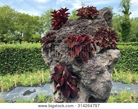Intercultural Education Garden Or Interkultureller Schulgarten (flower Island Mainau On The Lake Con