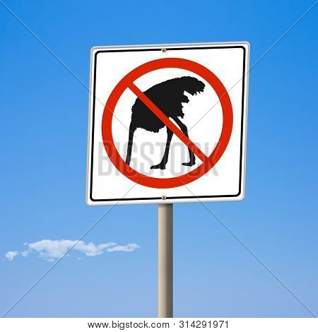 Ostrich road sign hidden from problem concept 3d illustration
