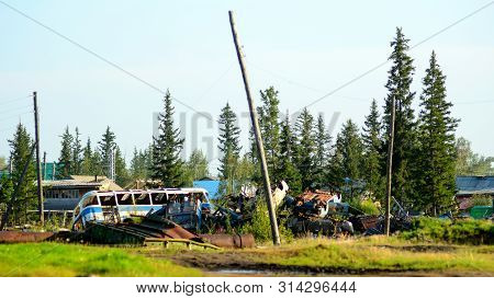 Dump Of Old Metal Buses And Cars In The Village Of The North In The Forest In Yakutia In The Ulus Su