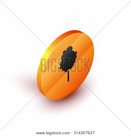Isometric Cotton Candy Icon Isolated On White Background. Orange Circle Button. Vector Illustration