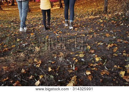 Fall Family Leisure. Cropped Back View Of Parents Walking With Their Child In Nature Park. Fallen Le