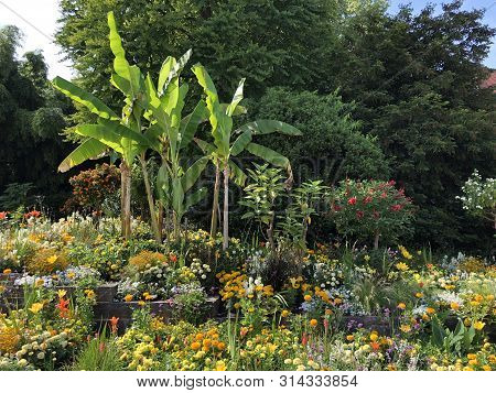 Sonja And Lennart Bernadotte Plaza Or Sonja Und Lennart Bernadotte Platz (flower Island Mainau On Th