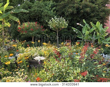 Sonja And Lennart Bernadotte Plaza Or Sonja Und Lennart Bernadotte Platz (flower Island Mainau On Th