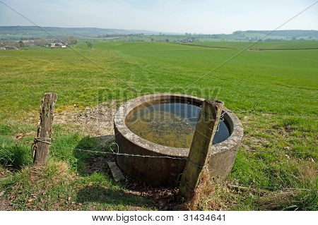 Wasser fÃ¼r Rinder und Stacheldraht im FrÃ¼hjahr