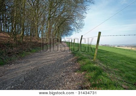 unbefestigte StraÃŸe durch Wald und Wiese