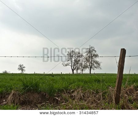 Stacheldraht in einem Feld im FrÃ¼hjahr