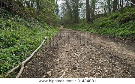 Hohle Straße durch einen Wald