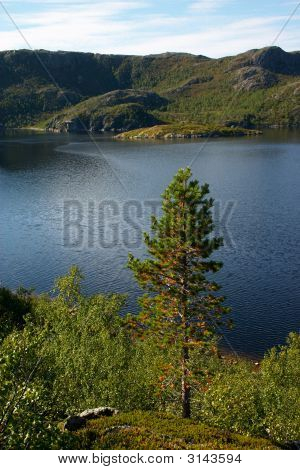Krajina divokých fjordu v Norsku