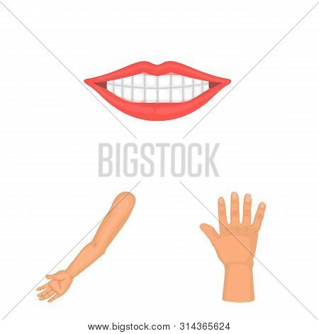 Vector Design Of Body And Part Logo. Set Of Body And Anatomy Stock Symbol For Web.