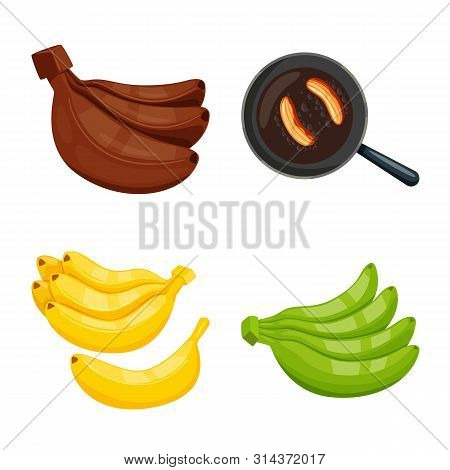 Vector Design Of Tropical And Ripe Sign. Collection Of Tropical And Potassium Vector Icon For Stock.