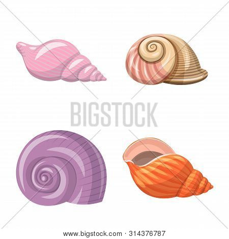 Isolated Object Of Seashell And Mollusk Sign. Set Of Seashell And Seafood Vector Icon For Stock.