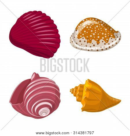 Vector Illustration Of Seashell And Mollusk Symbol. Collection Of Seashell And Seafood Stock Vector 