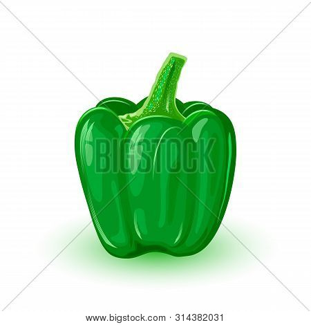 Green Sweet Bell Pepper. Fresh Capsicum Using As Ingredient For Salads, Pizza, Cheese Steaks, Health