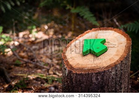 Close Up Green Wooden Arrow Pointing The Direction Of The Footpath Or Trail Attached To A Tree Stump
