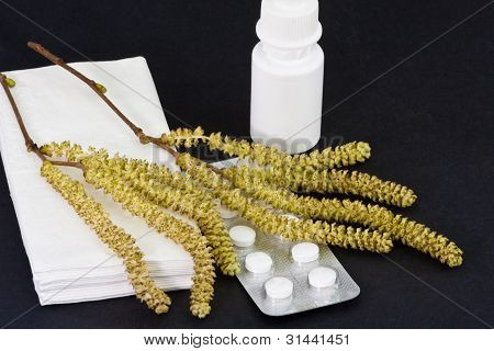 Allergisk Rhinitis