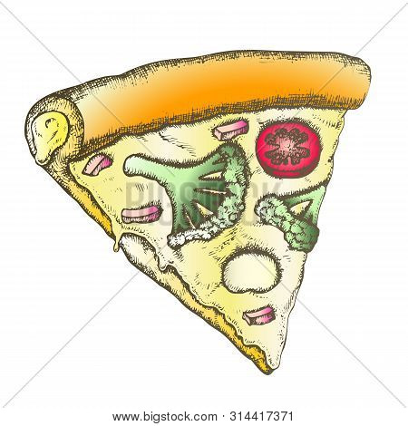 Color Vegetarian Italian Slice Pizza Monochrome . Cooked Slice Cheese Pizza With Ingredients Rapini 