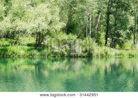 Lake In Park