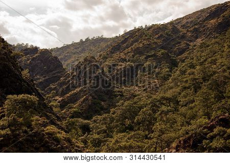 Beautiful Landscape Of The Mountain Hills Coverin With Green Trees