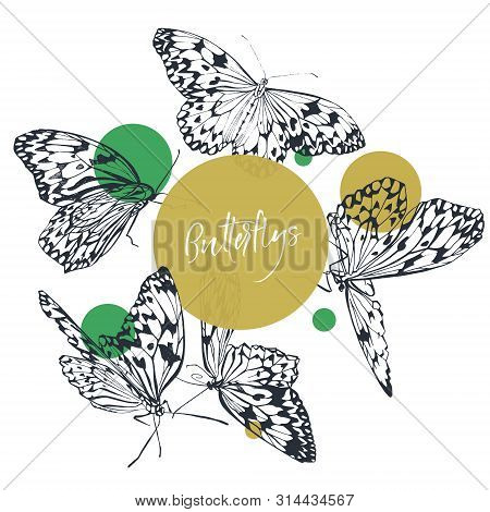 Butterfly Classic Collection In Black And White With Green Bright Dots. Tropical Paradise Insects