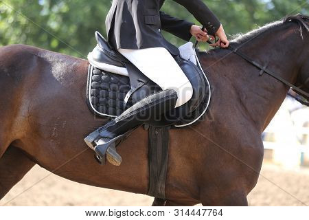 Beautiful Handmade Dressage Horse Riding Saddle With Girth, Stirrup On Saddle Pad On The Racetrack