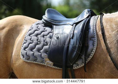 Beautiful Handmade Dressage Horse Riding Saddle With Girth, Stirrup On Saddle Pad On The Racetrack