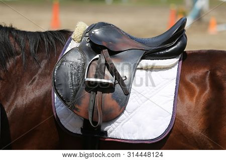 Beautiful Handmade Dressage Horse Riding Saddle With Girth, Stirrup On Saddle Pad On The Racetrack