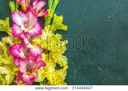 Border Frame Made Of Yellow And Pink Gladiolus On Green Concrete Background