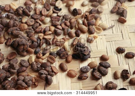 Indonesia Luwak Coffee -kopi Or Or Civet Coffee Is A Unique, Fine And Exotic Coffee And The Most Exp