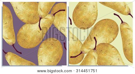 Vector Set Of Seamless Patterns With Hand-drawn Harvest Juicy, Delicious Rich Soft Pears Conference,