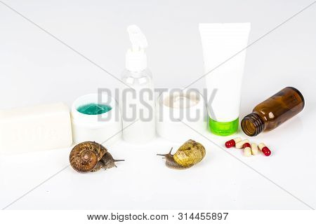 Cosmetics Organic Made With Slaver Of Snail, Very Good For Skin And Health And Fashion In Europe. Po