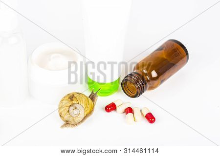 Cosmetics Organic Made With Slaver Of Snail, Very Good For Skin And Health And Fashion In Europe. Po