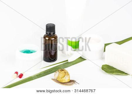 Cosmetics Organic Made With Slaver Of Snail, Very Good For Skin And Health And Fashion In Europe.pot