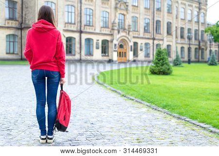 Back Rear Behind Full Length Bosy Size Photo Of Serious Confident Concentrated Hipster Holding Schoo