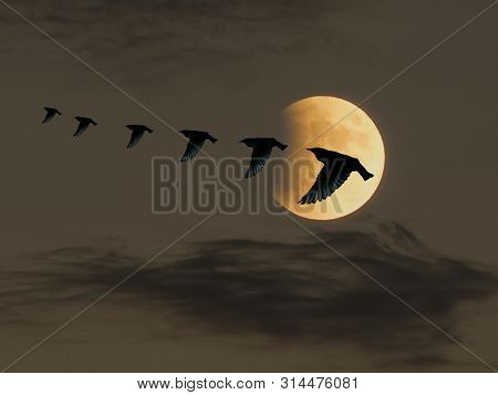Meditation In The Clouds With The Moonlight
