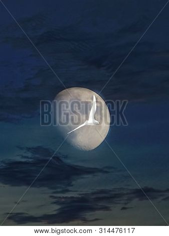 Meditation In The Clouds With The Moonlight