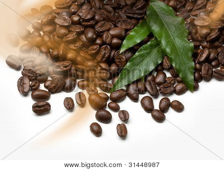 COFEE bønner