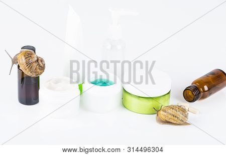 Cosmetics Organic Made With Slaver Of Snail, Very Good For Skin And Health And Fashion In Europe. Po