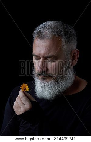 Portrait Of A Brutal Gray Haired Man With A Beard Sniffing Yellow Flowers On A Black Background, Sel