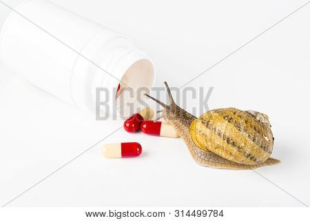 Cosmetics Organic Made With Slaver Of Snail, Very Good For Skin And Health And Fashion In Europe. Wh
