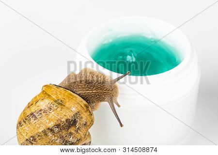 Cosmetics Organic Made With Slaver Of Snail, Very Good For Skin And Health And Fashion In Europe. Po
