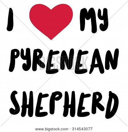 I Love My Pyrenean Shepherd , Illustration On White Background