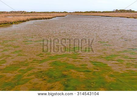 Colorful Estuary On A Barrier Island On Assateague Island National Seashore In Maryland;