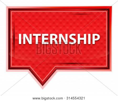 Internship Isolated On Misty Rose Pink Banner Button