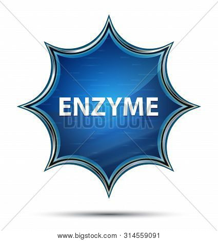 Enzyme Isolated On Magical Glassy Sunburst Blue Button