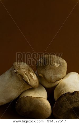 King Oyster Mushroom Pleurotus Eryngii On Brown Background,pleurotus Eryngii (king Oyster Mushroom)