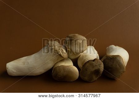 King Oyster Mushroom Pleurotus Eryngii On Brown Background,pleurotus Eryngii (king Oyster Mushroom)