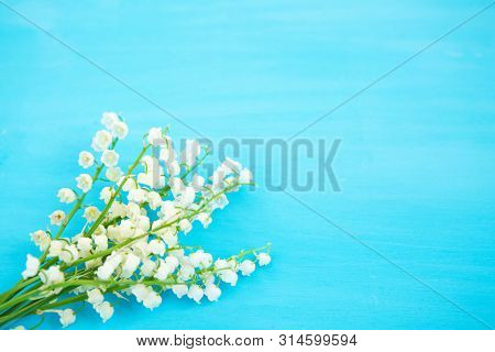 Wonderful Fragrant White Flowers With A Delicate Scent. Lilies Of The Valley On A Blue Wooden Backgr
