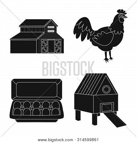 Isolated Object Of Harvest And Farming Symbol. Collection Of Harvest And Poultry Stock Vector Illust