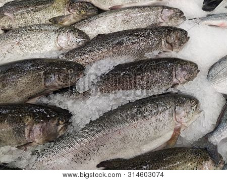 Fresh Fish On Ice Rainbow Trout At Seefood Festival